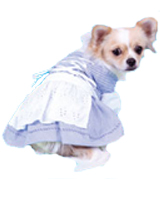 Robe tyrolienne pour chiens