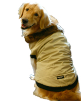 Manteau d'hiver pour chiens gran