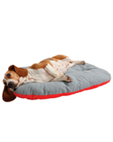 Coussin canin
