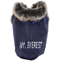 Mt. Everest blue jacket